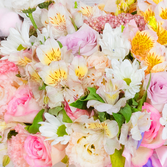 BOUQUET №011 / 101011_03