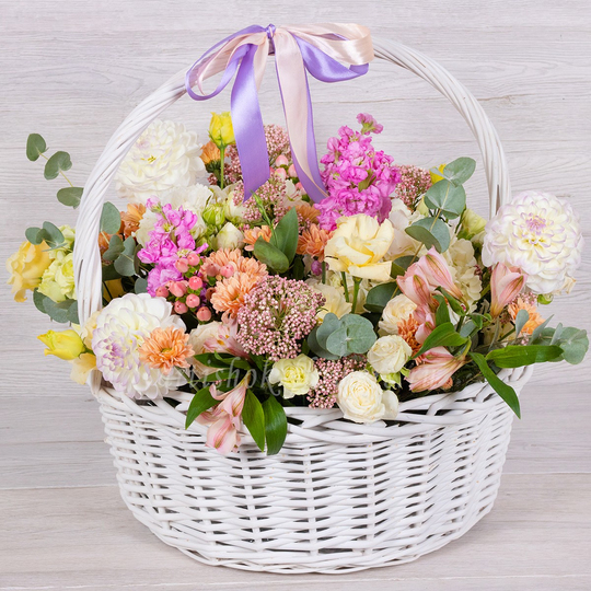 BOUQUET №053 / 101053_02