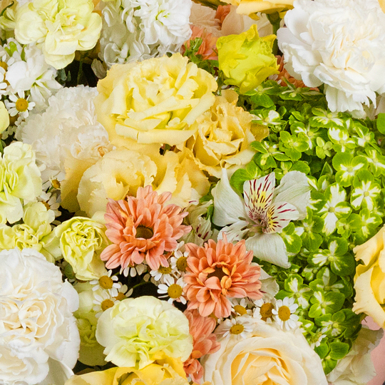 BOUQUET №078 / 101078_03