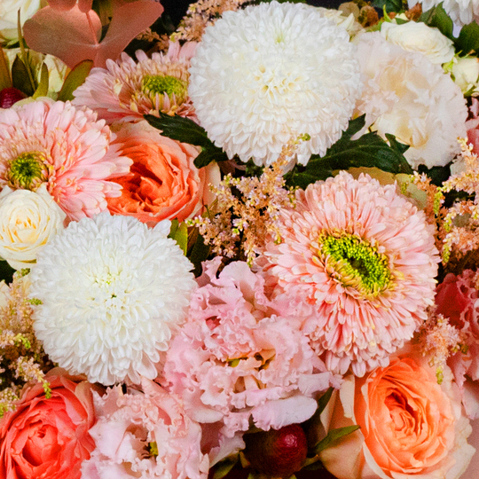 BOUQUET №147 / 101147_03