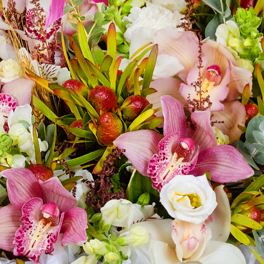BOUQUET №123 / 101123_03