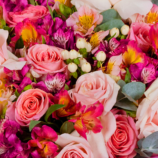 BOUQUET №209 / 101209_03