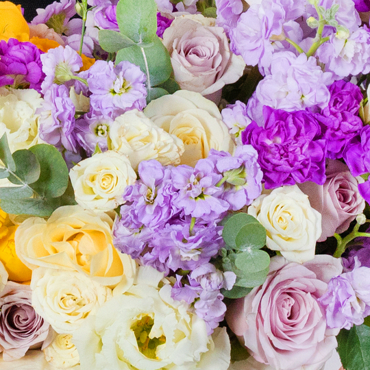 BOUQUET №204 / 101204_03