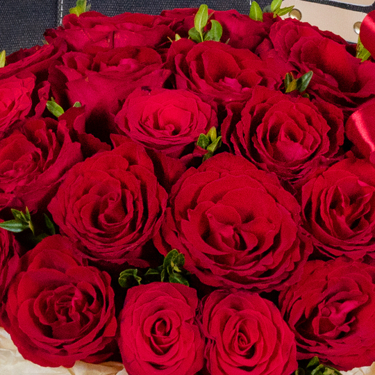BOUQUET №211 / 101211_03