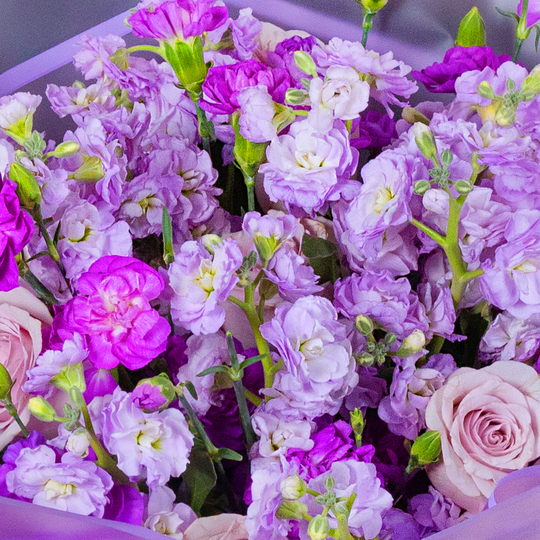 BOUQUET №195 / 101195_03