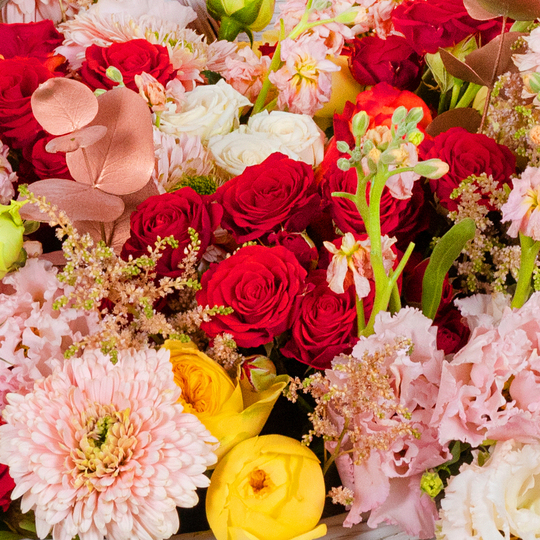BOUQUET №207 / 101207_03