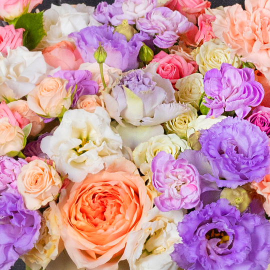 BOUQUET №203 / 101203_03
