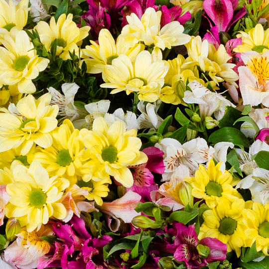 BOUQUET №216 / 101216_03